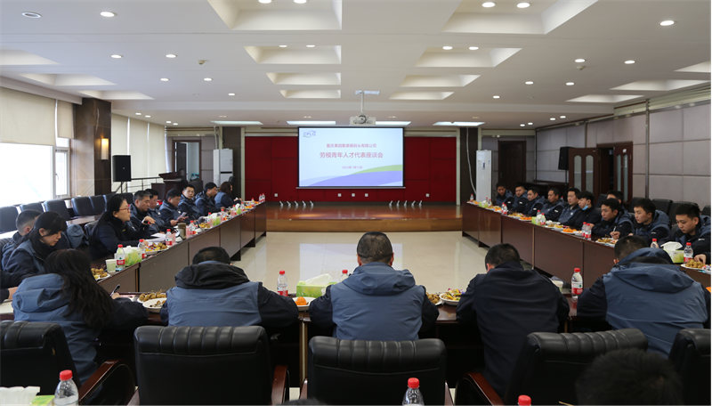 座谈会图片.png